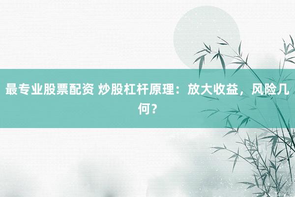 最专业股票配资 炒股杠杆原理：放大收益，风险几何？