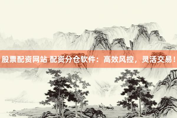 股票配资网站 配资分仓软件：高效风控，灵活交易！