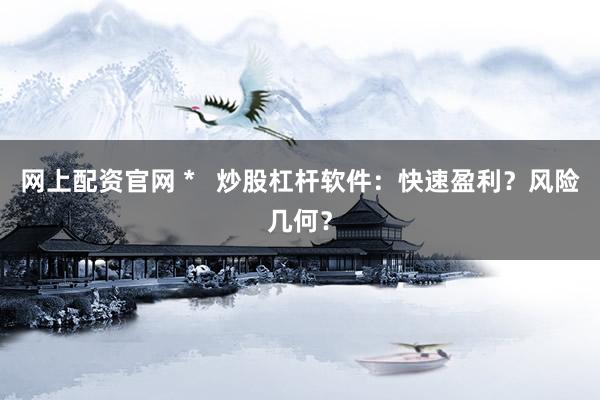 网上配资官网 *   炒股杠杆软件：快速盈利？风险几何？