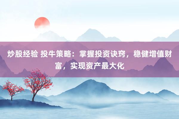炒股经验 投牛策略：掌握投资诀窍，稳健增值财富，实现资产最大化