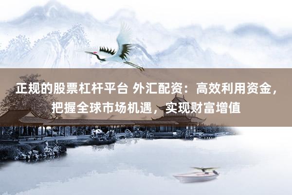 正规的股票杠杆平台 外汇配资：高效利用资金，把握全球市场机遇，实现财富增值