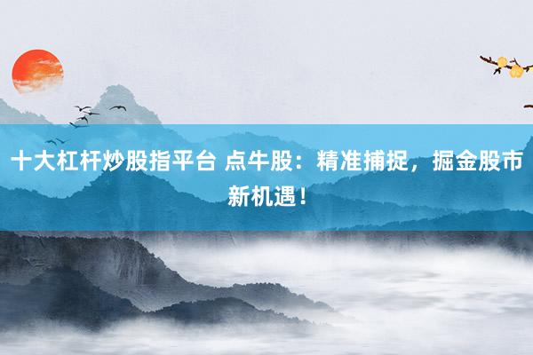 十大杠杆炒股指平台 点牛股：精准捕捉，掘金股市新机遇！