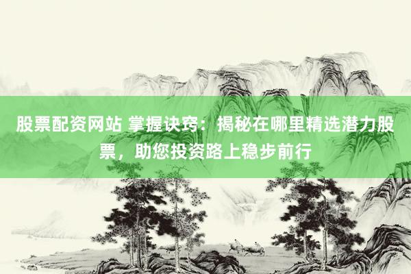 股票配资网站 掌握诀窍：揭秘在哪里精选潜力股票，助您投资路上稳步前行