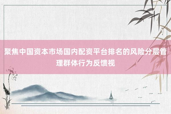聚焦中国资本市场国内配资平台排名的风险分层管理群体行为反馈视