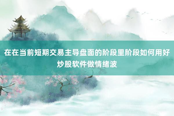 在在当前短期交易主导盘面的阶段里阶段如何用好炒股软件做情绪波