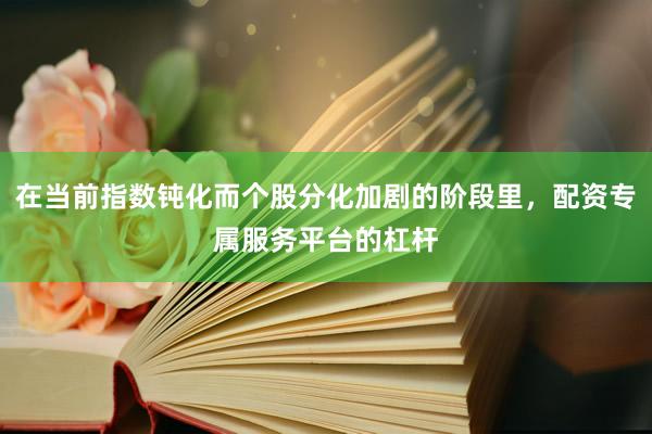 在当前指数钝化而个股分化加剧的阶段里，配资专属服务平台的杠杆